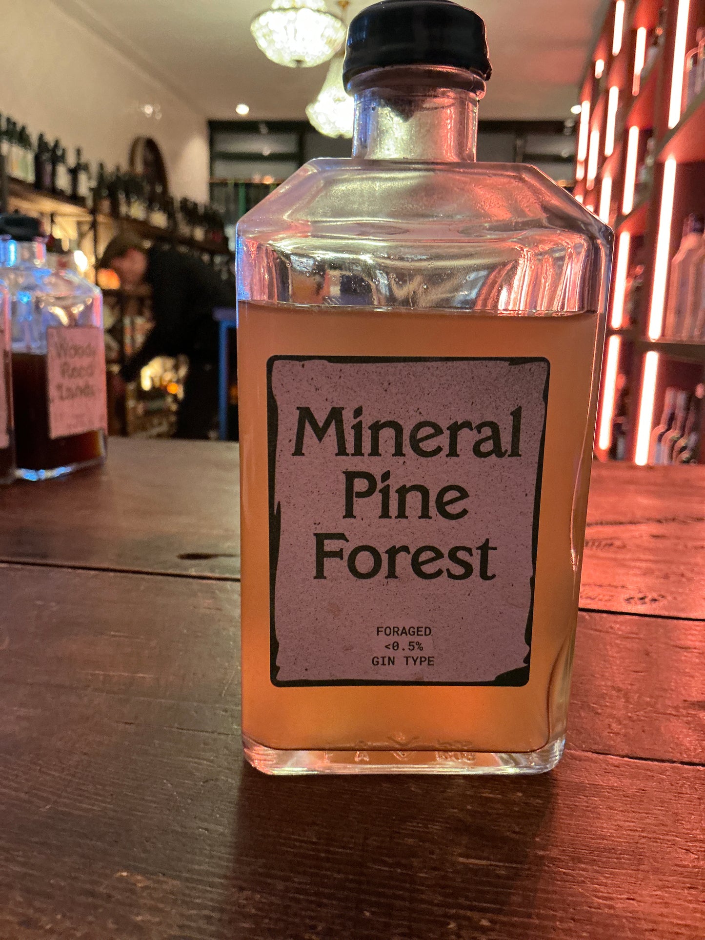 Mineral Pine Forest