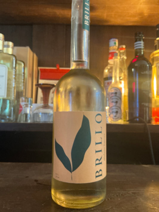 Meloncello